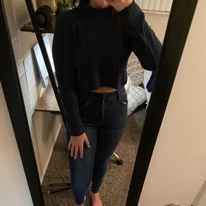 Wild fable sweater cropped